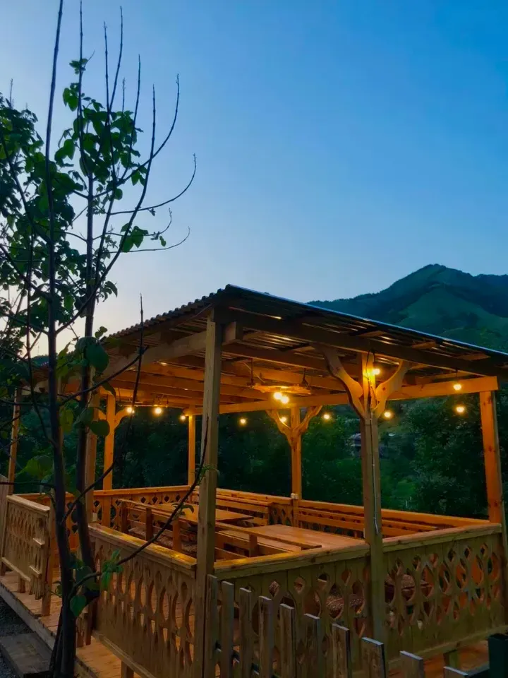 Առանձնատուն, Դիլիջան, 160 քմ, լողավազանով, մինչև 18 հյուր — լուսանկար 11