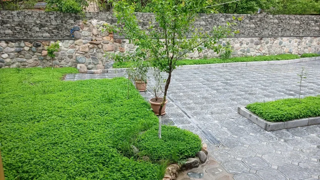 Առանձնատուն, Դիլիջան, 100 քմ, լողավազանով, մինչև 10 հյուր — լուսանկար 8