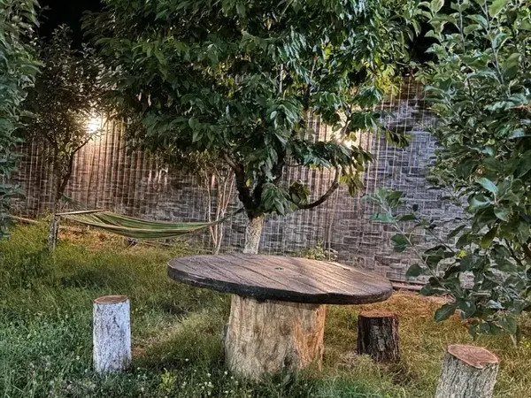 Ամառանոց, Նոր Գեղի — լուսանկար 2