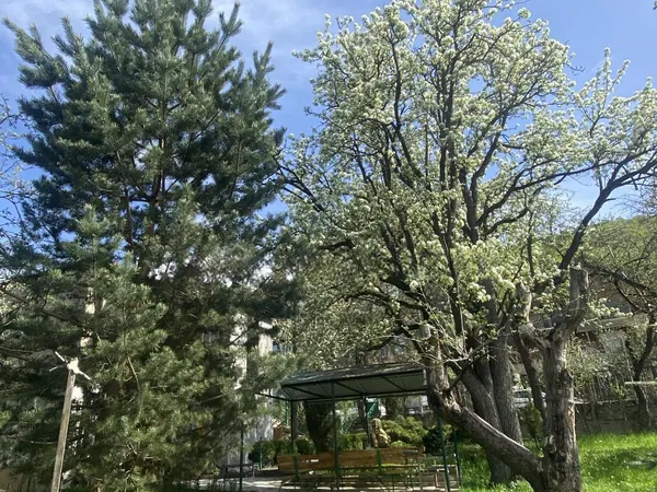Առանձնատուն, Դիլիջան, 250 քմ, լողավազանով, մինչև 10 հյուր — լուսանկար 5