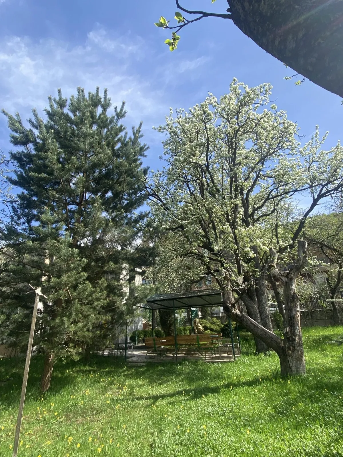 Առանձնատուն, Դիլիջան, 250 քմ, լողավազանով, մինչև 10 հյուր — լուսանկար 5