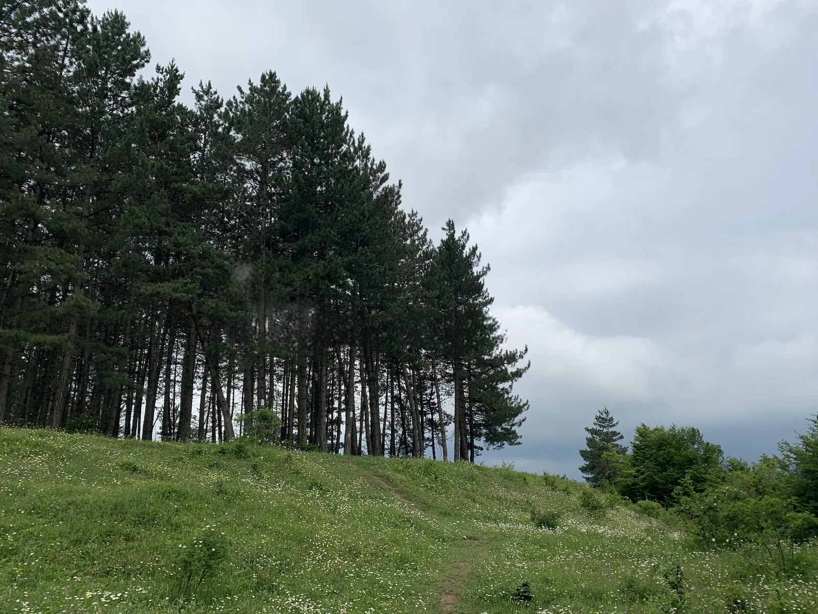 Առանձնատուն, Դիլիջան, 250 քմ, մինչև 10 հյուր — լուսանկար 7