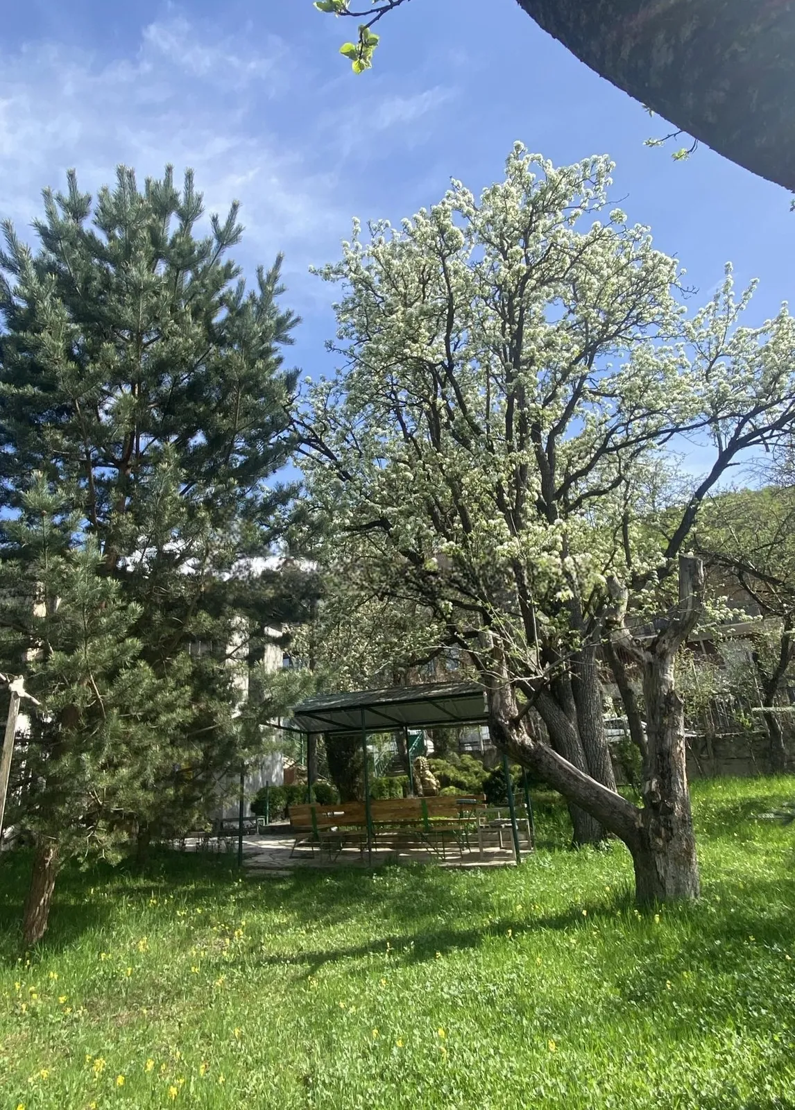 Առանձնատուն, Դիլիջան, 250 քմ, մինչև 10 հյուր — լուսանկար 6