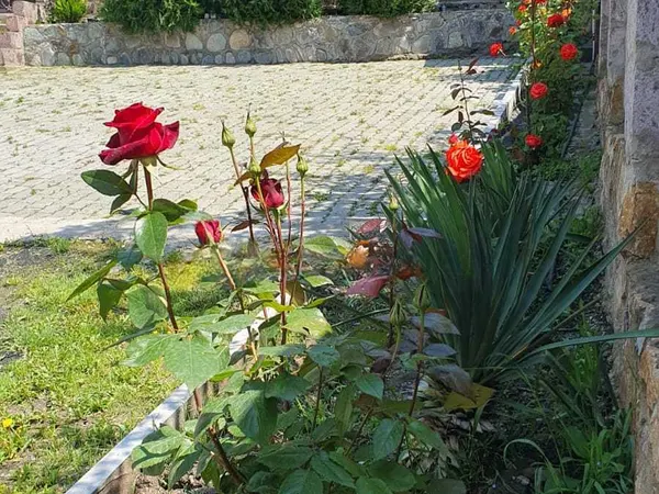 Առանձնատուն, Դիլիջան, 120 քմ, լողավազանով, մինչև 8 հյուր — լուսանկար 2