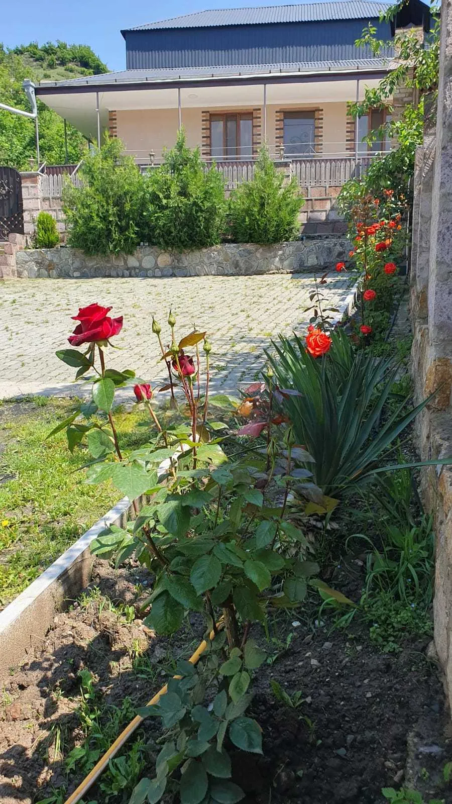 Առանձնատուն, Դիլիջան, 120 քմ, լողավազանով, մինչև 8 հյուր — լուսանկար 2