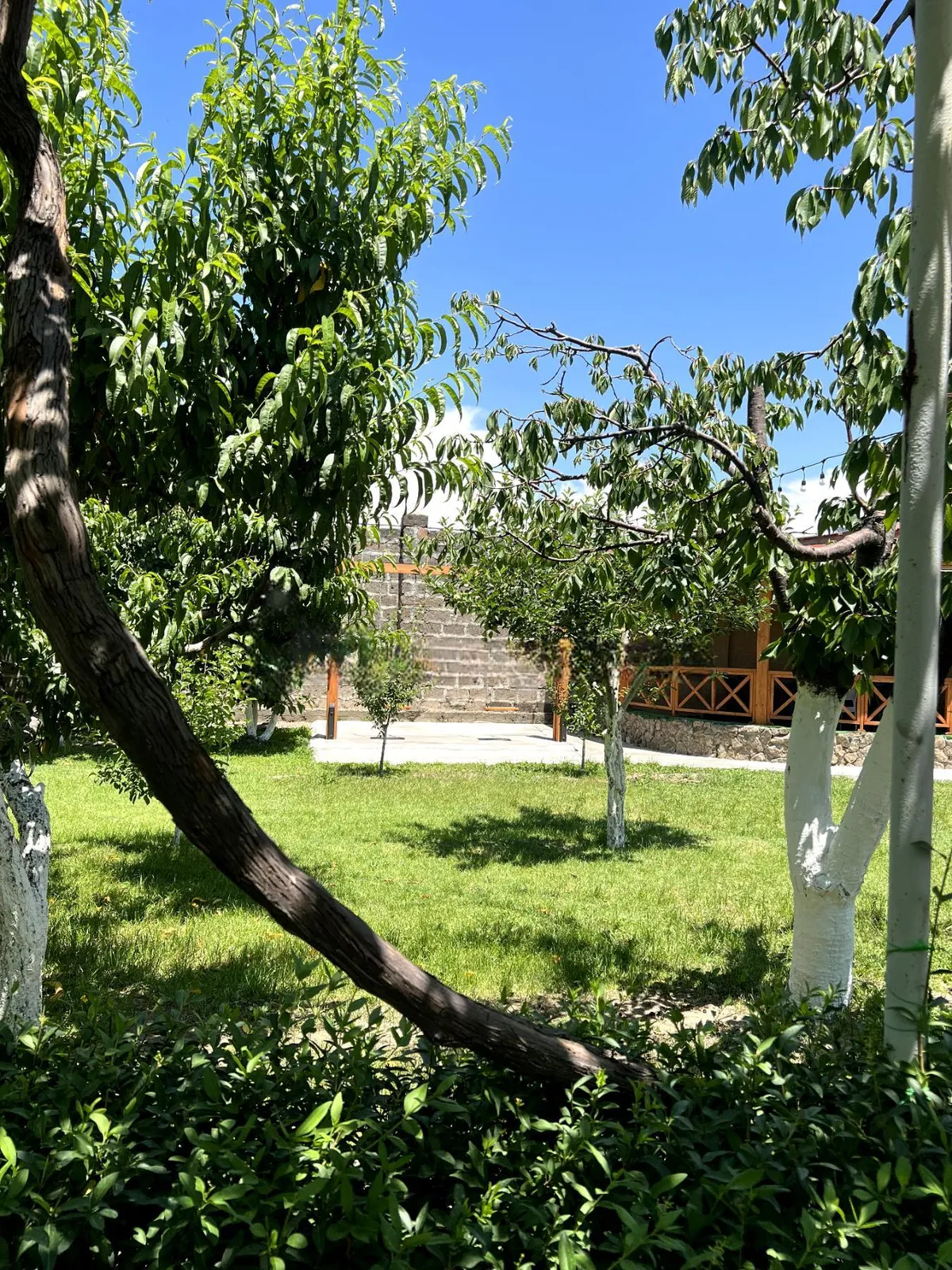 Առանձնատուն, Էջմիածին, 1700 քմ, լողավազանով — լուսանկար 7