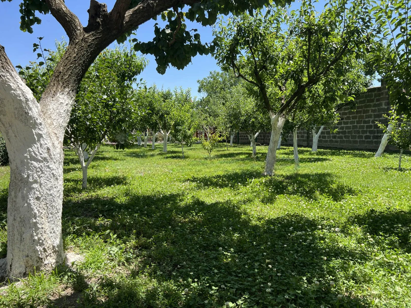 Առանձնատուն, Էջմիածին, 1700 քմ, լողավազանով — լուսանկար 6