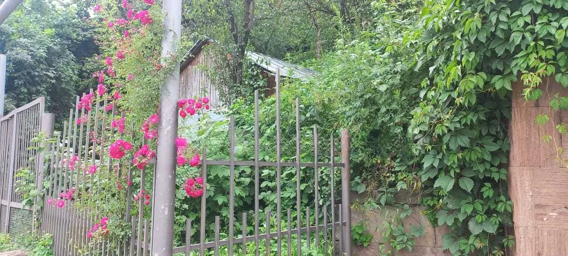 Առանձնատուն, Դիլիջան, 55 քմ, մինչև 3 հյուր — լուսանկար 8
