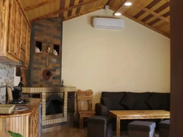 2-սենյականոց բնակարան, Դիլիջան, 50 քմ, 1/1 հարկ — լուսանկար 3
