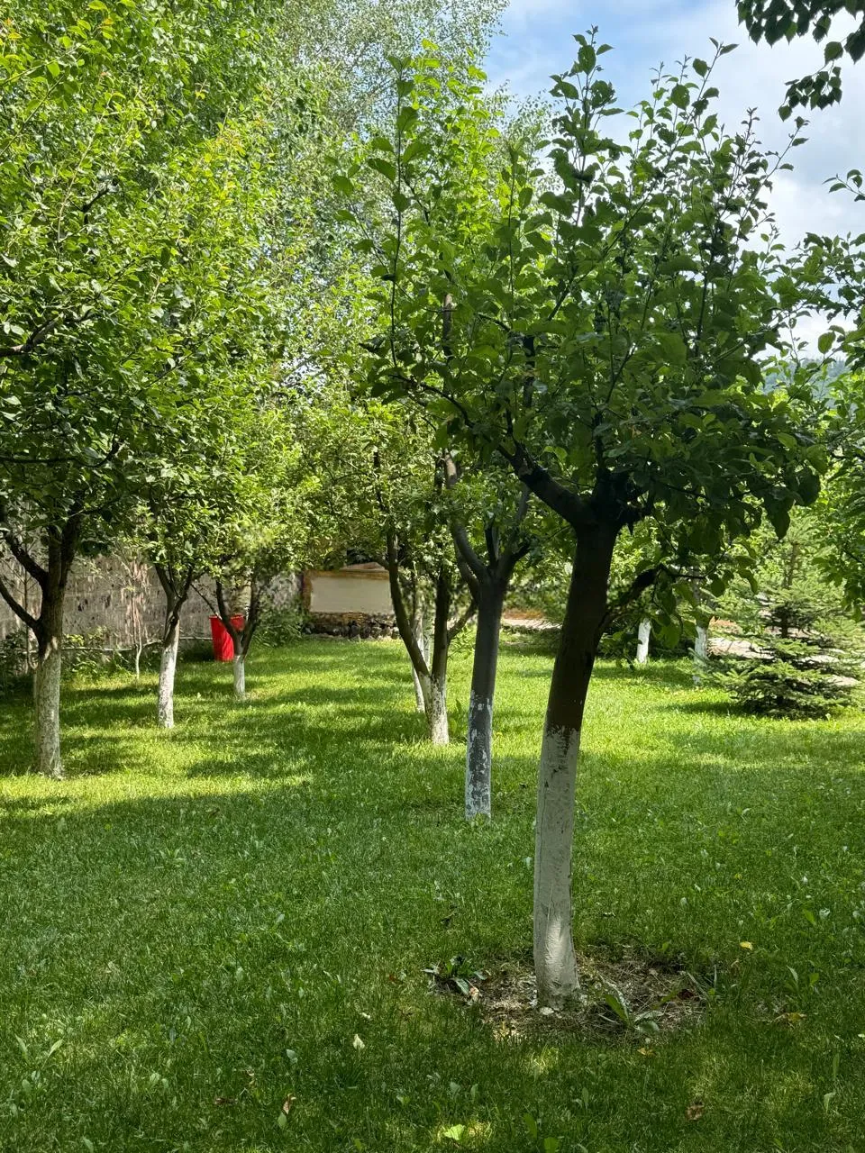 Առանձնատուն, Ծաղկաձոր, 240 քմ, մինչև 12 հյուր — լուսանկար 8
